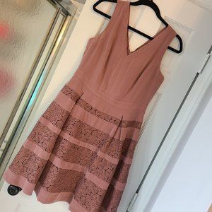 The Limited Lace Dress